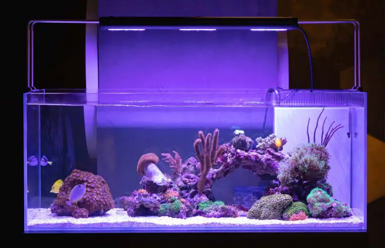 Which way does the filter go in a fish tank