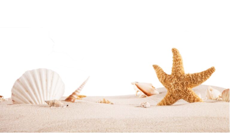 Oxy shell for fish tank