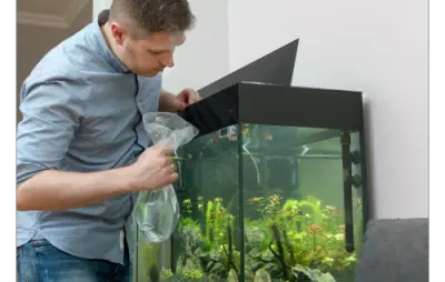 What Do You Need For A Fish Tank