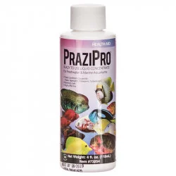 https://aquariumia.com/does-prazipro-treat-internal-parasites/