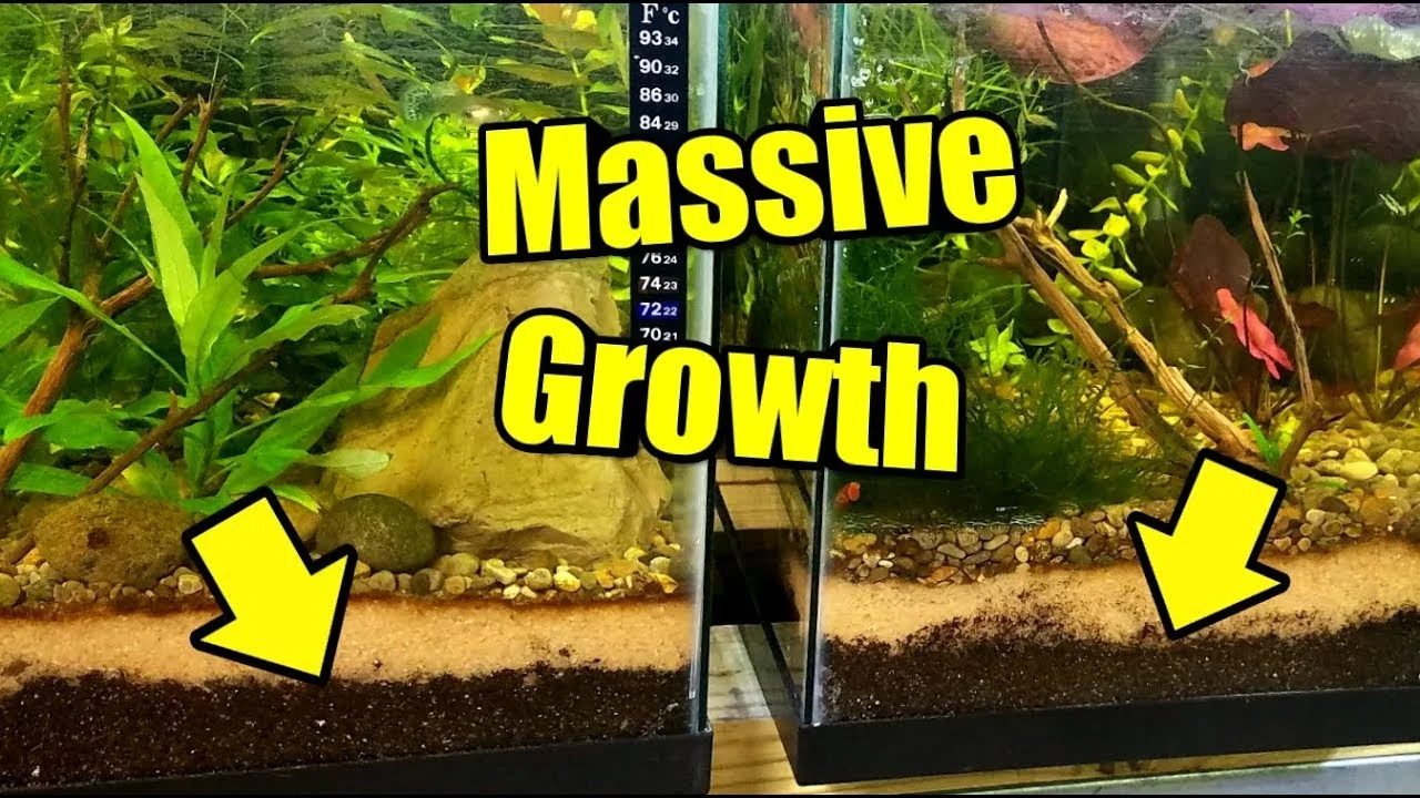 https://aquariumia.com/organic-soil-for-aquarium/