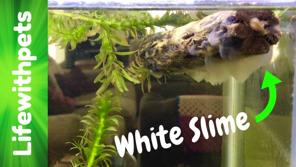 white slime bathroom sink