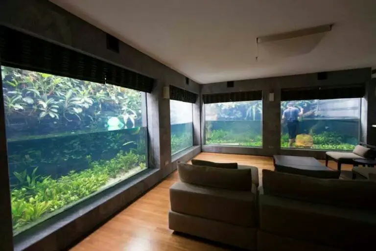 Would Absolutely Love Floor to Ceiling Fish Tank!