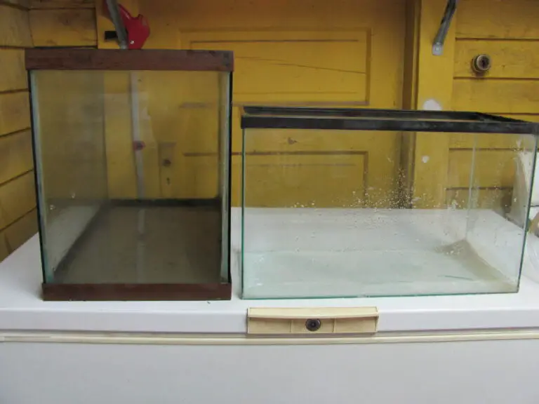 Why are Fish Tanks So Expensive?