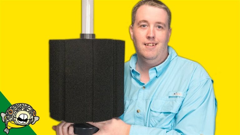 Sponge Filter Vs Power Filter