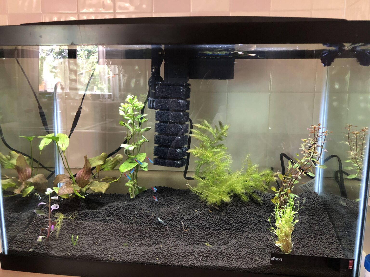 Does Fluval Stratum Lower Ph? - Aquariumia