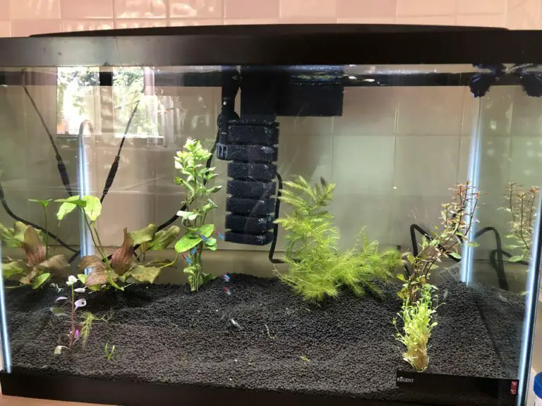 Does Fluval Stratum Lower Ph?