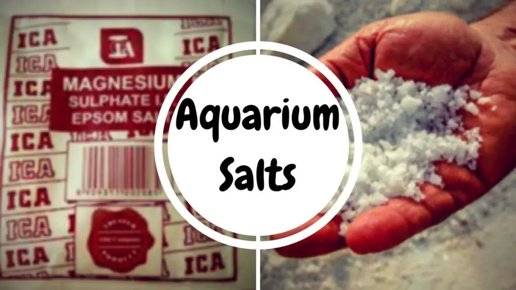 Epsom Salt Vs Aquarium Salt Aquariumia