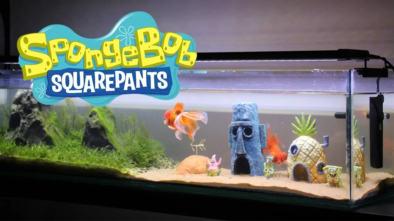 verslag doen van Alternatief voorstel fluiten Spongebob Themed Fish Tank - Aquariumia