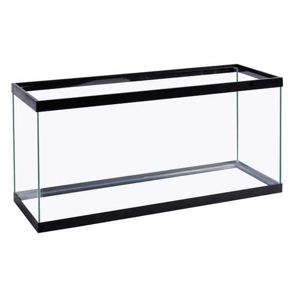 Learn How To Start 30 GALLON BREEDER TANK