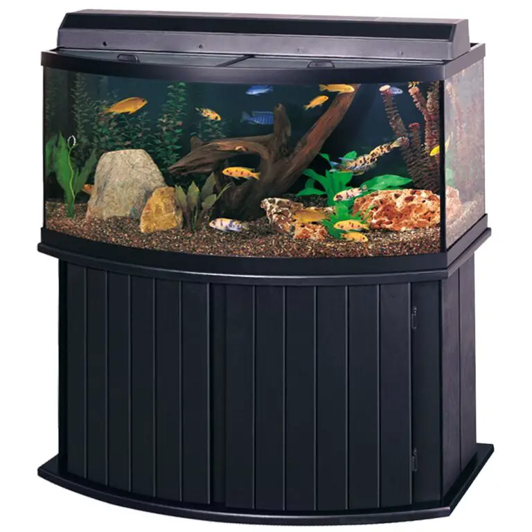72 Gallon Bow Front Aquarium on a Budget? It’s Not as Hard as You Think