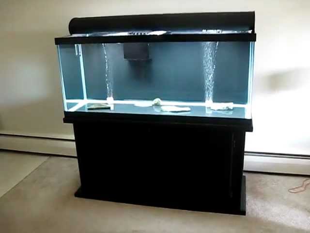 sump size for 50 gallon tank