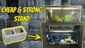 Wondering How To Make Your 125 GALLON CINDER BLOCK AQUARIUM STAND Rock