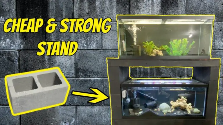 Wondering How To Make Your 125 GALLON CINDER BLOCK AQUARIUM STAND Rock? Read This!