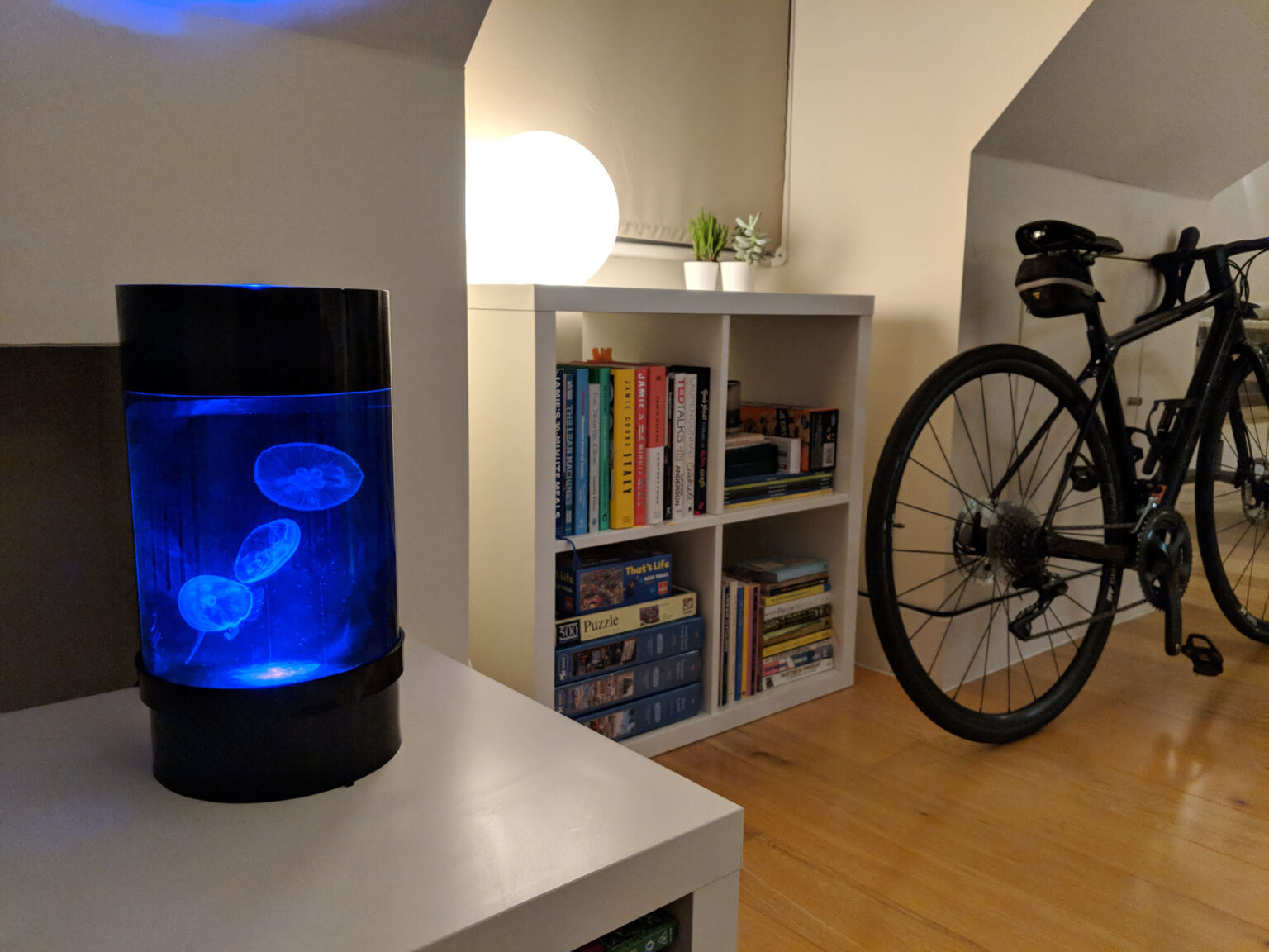 Jellyfish Tank Setup Aquariumia