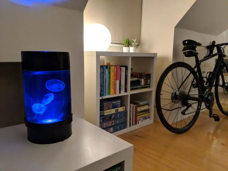 Jellyfish Tank Setup