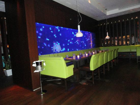 https://aquariumia.com/steak-954-jellyfish-tank/