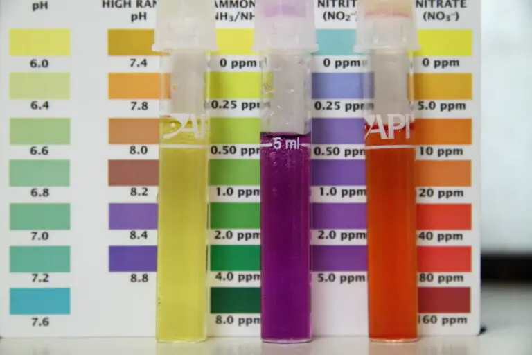 12 Tips to Maintain Perfect Nitrate Balance: Ideal Nitrate Level in Fish Tank