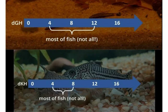 Beheer Bont religie 11 Optimal Guides: Ideal KH And GH for Planted Aquarium - Aquariumia
