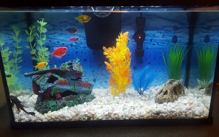 https://aquariumia.com/page/69/
