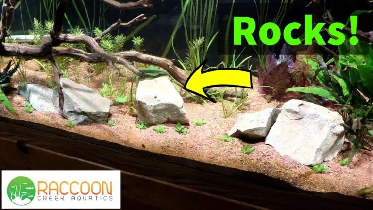 How Long to Boil Rocks for Aquarium?