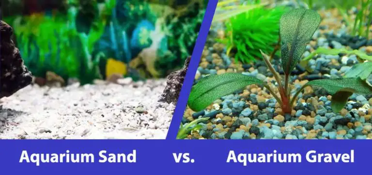 Is Sand Or Gravel Better for a Fish Tank?