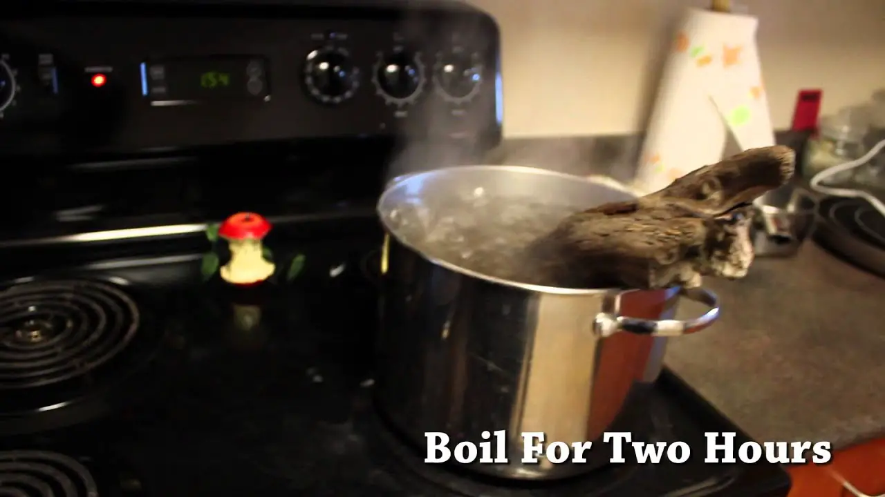 https://aquariumia.com/how-long-to-boil-driftwood-for-aquarium/