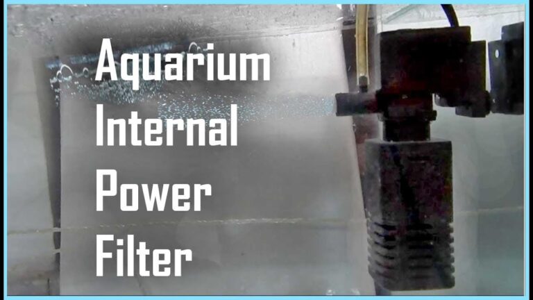 Tips to Get Best Position for Internal Aquarium Filter