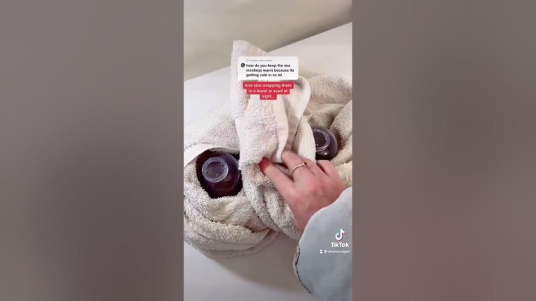 How to Keep Sea Monkeys Warm?