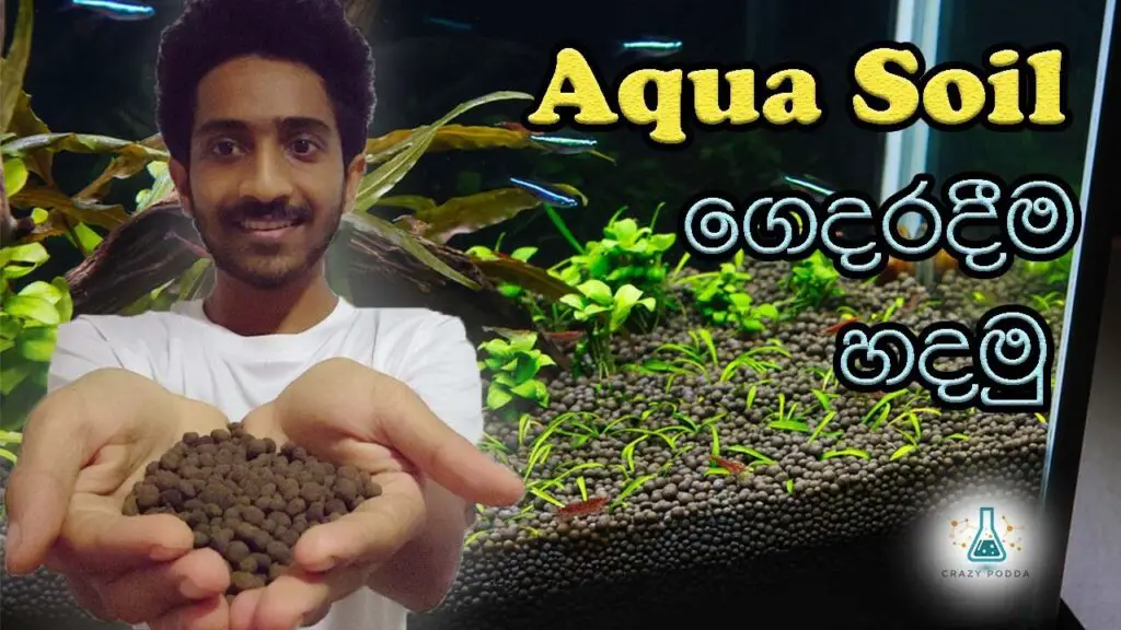 How To Make Aquarium Soil At Home? Aquariumia