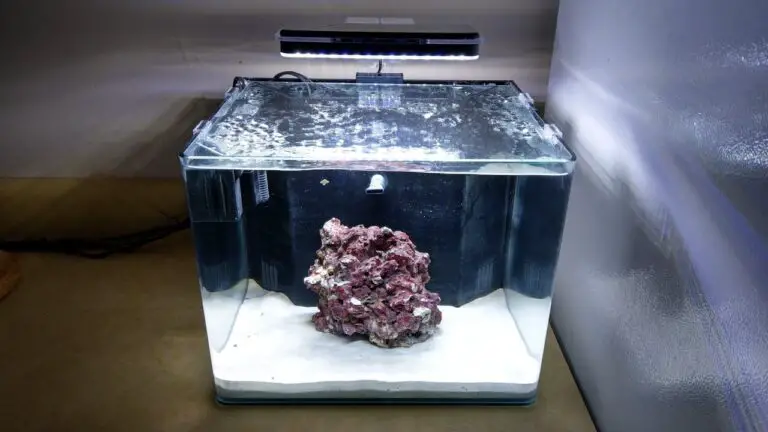 Imagitarium Frameless Freshwater Aquarium Kit 6.8 Gal