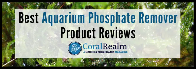 Best Phosphate Remover for Freshwater Aquarium