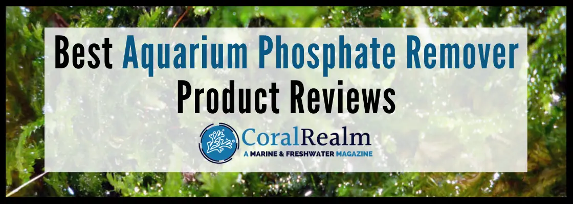 https://aquariumia.com/best-phosphate-remover-for-freshwater-aquarium/