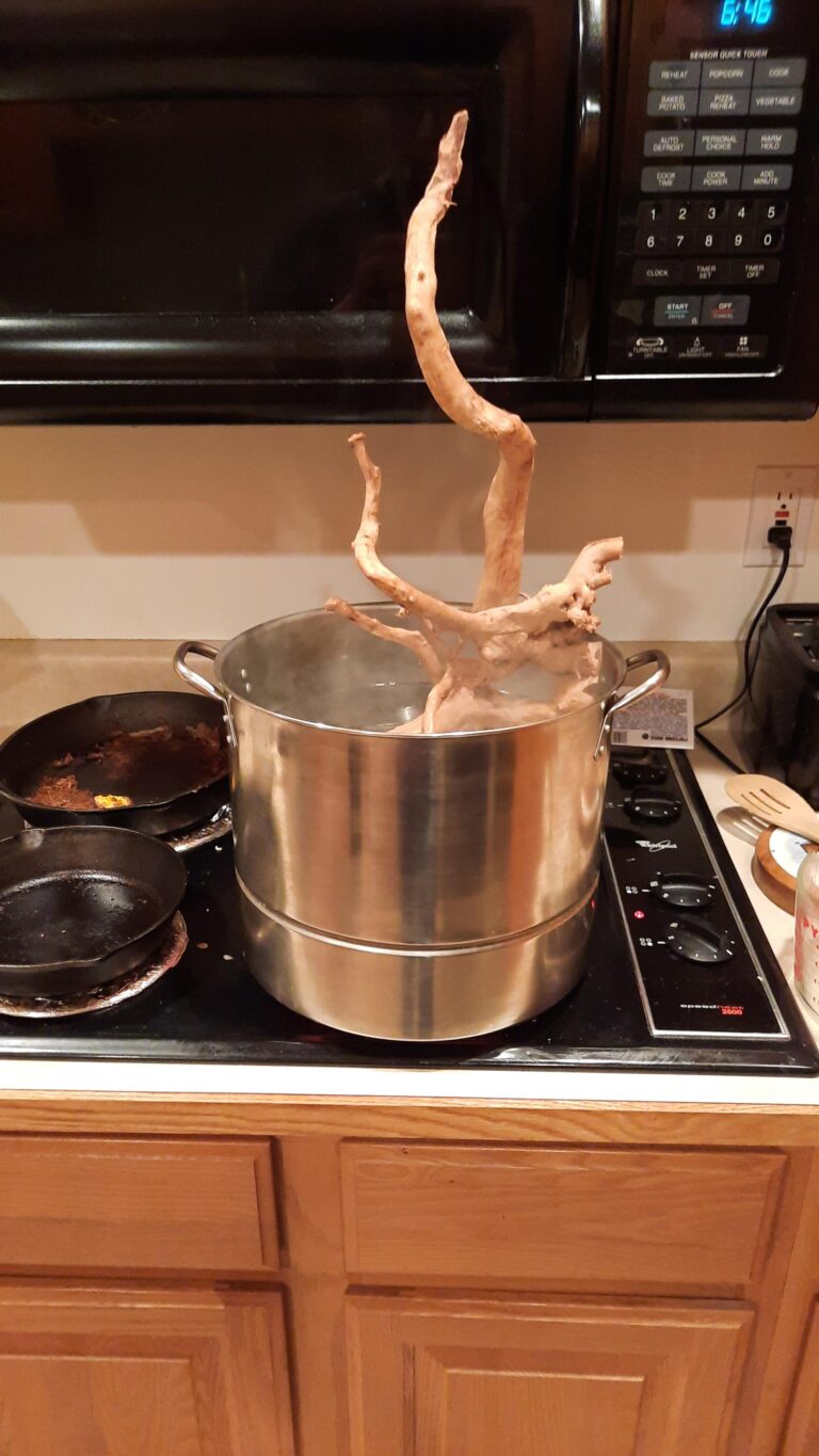 How Long to Boil Spider Wood?