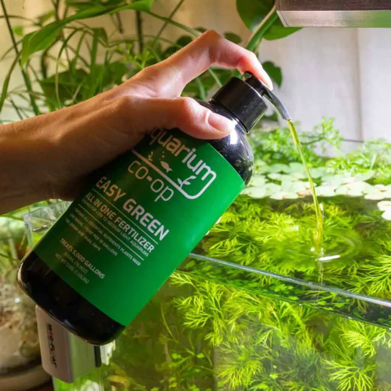 How Often To Fertilize Aquarium Plants? - Aquariumia