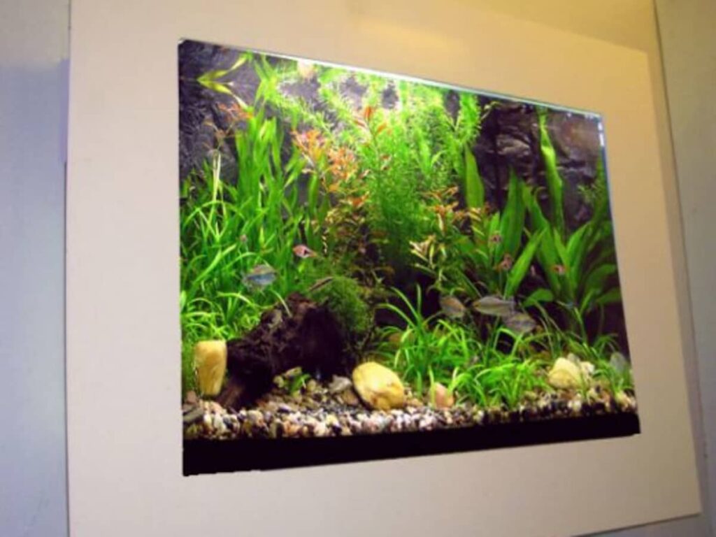 How To Feed Fish In Wall Aquarium? - Aquariumia