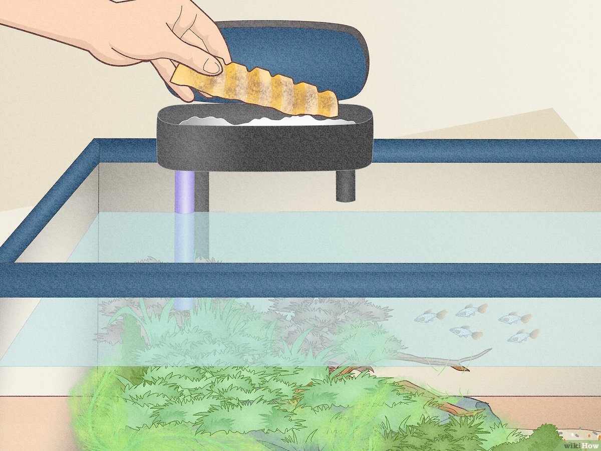 https://aquariumia.com/how-to-clean-aquarium-filter-without-killing-bacteria/