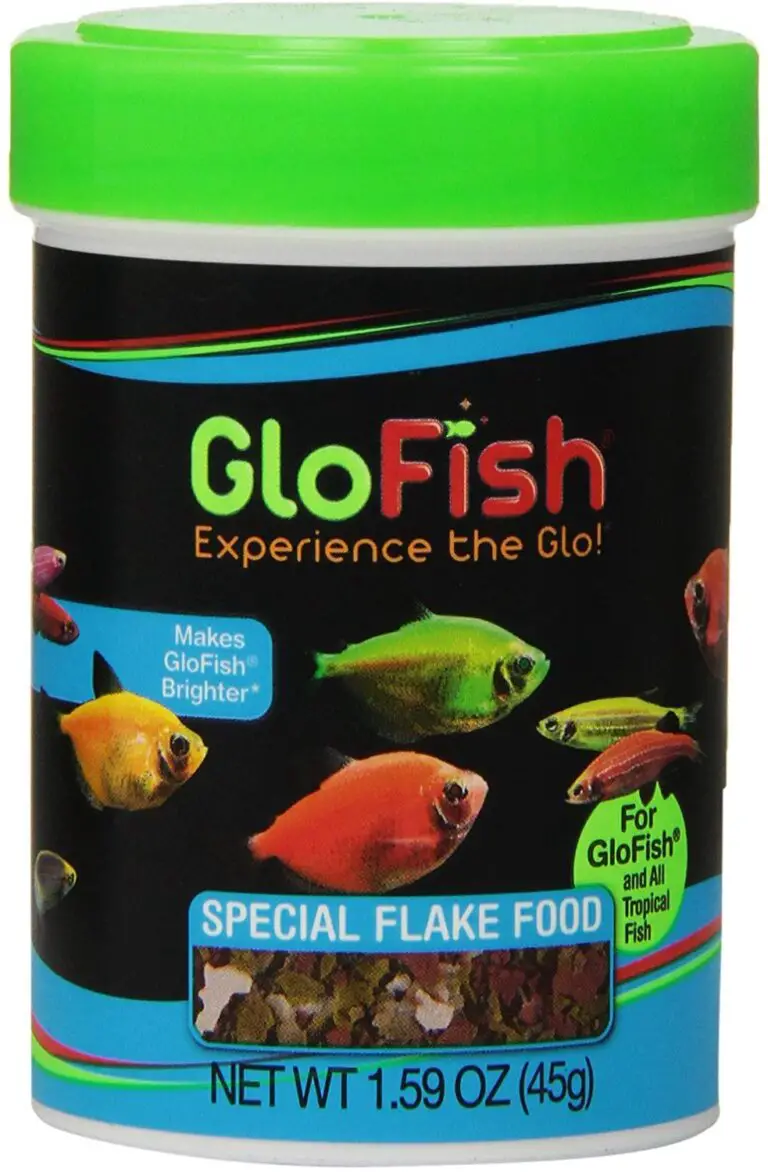 Can Guppies Eat Glofish Food?