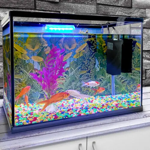 https://aquariumia.com/how-long-do-acrylic-aquariums-last/