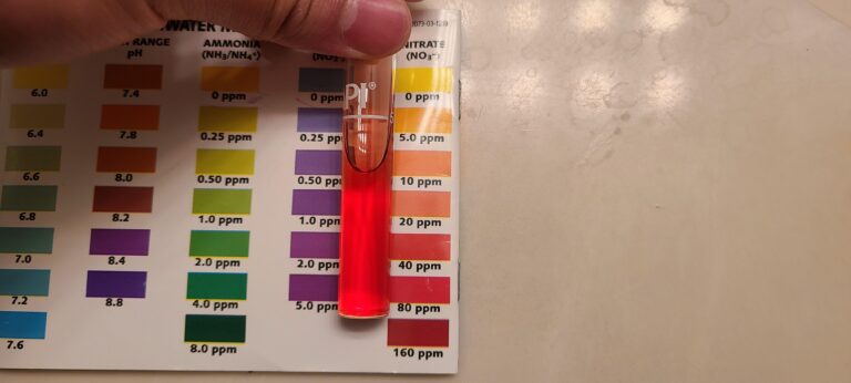 Nitrates High After Water Change