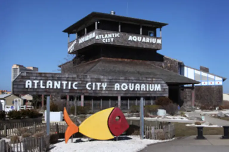 Why is Atlantic City Aquarium Closed?