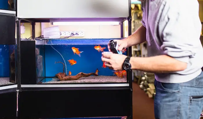 https://aquariumia.com/page/21/
