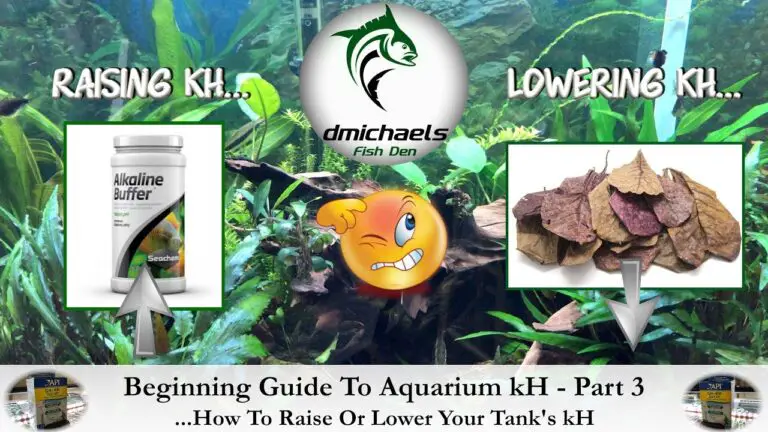 How to Raise KH in Aquarium?