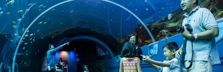 Are Pets Allowed at the Atlanta Aquarium?