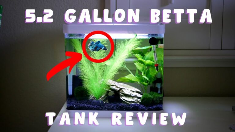 Imagitarium 5.2 Gallon Freshwater Aquarium