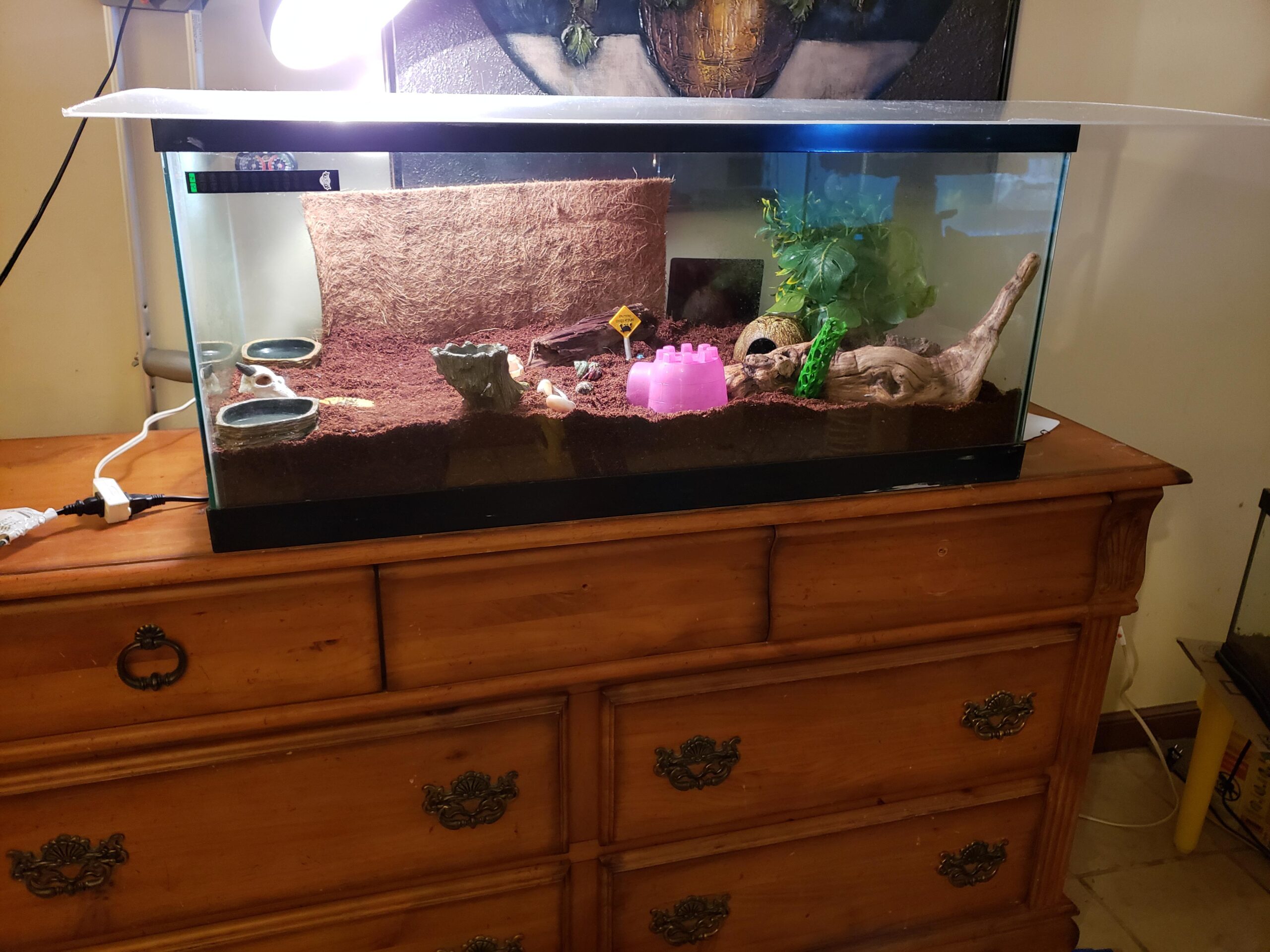 How Big Is A 40 Gallon Tank Aquariumia