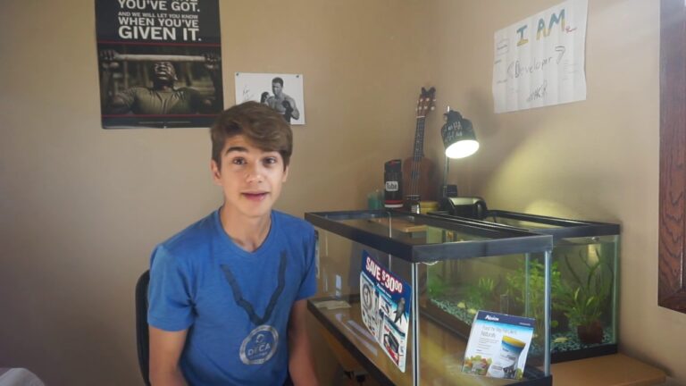 How Big is 20 Gallon Fish Tank?