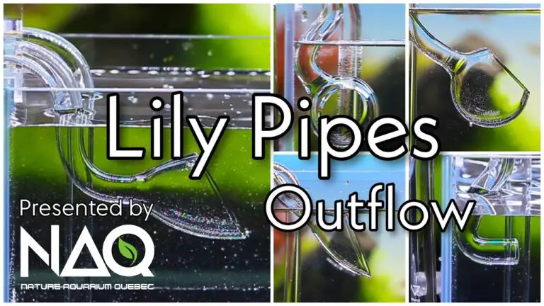 Lily Pipe for Aquarium