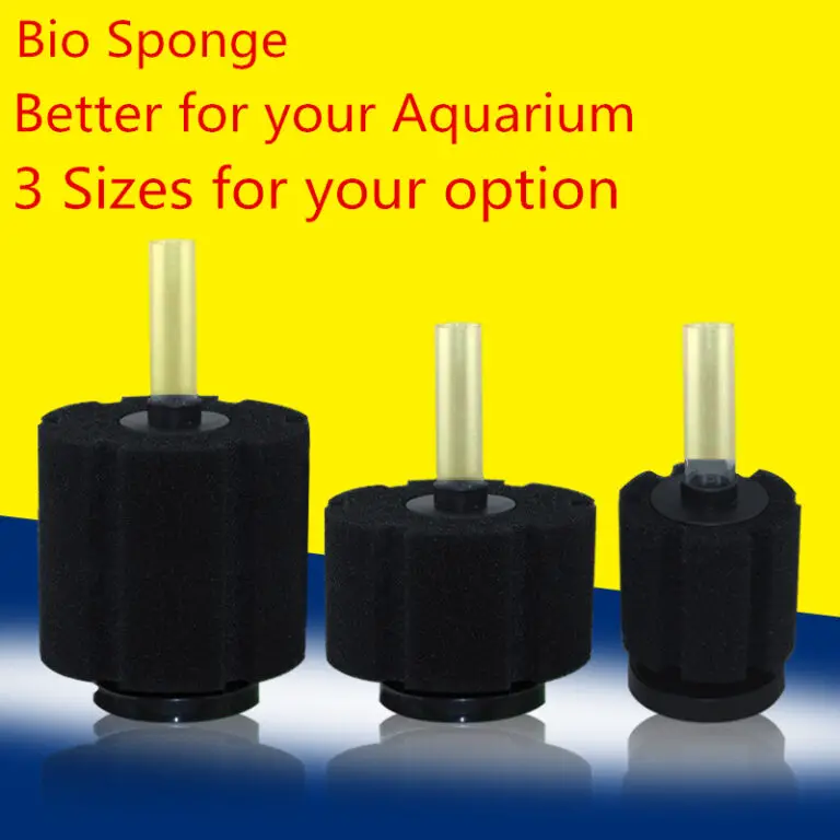 What Size Air Pump for Sponge Filter?