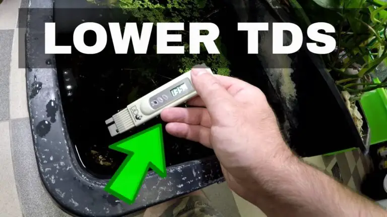 How to Lower TDS in Aquarium?